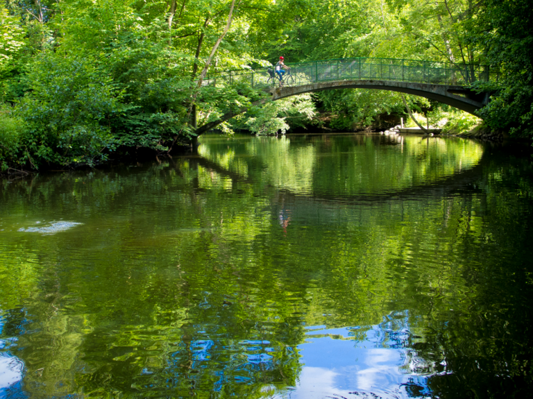 Bridge